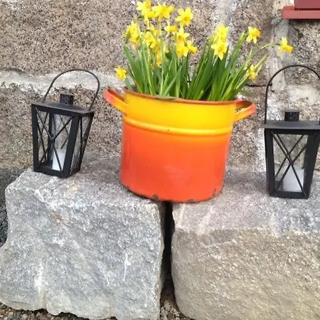 Lemettilae Countryside Фермерский дом