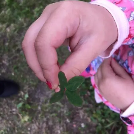 Lemettilae Countryside *